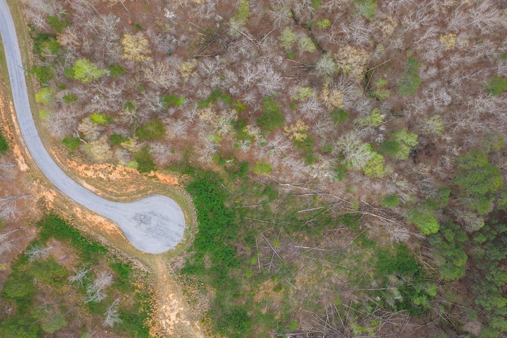 Lot 43 Bucktail Way, Talking Rock GA 30175 - Photo