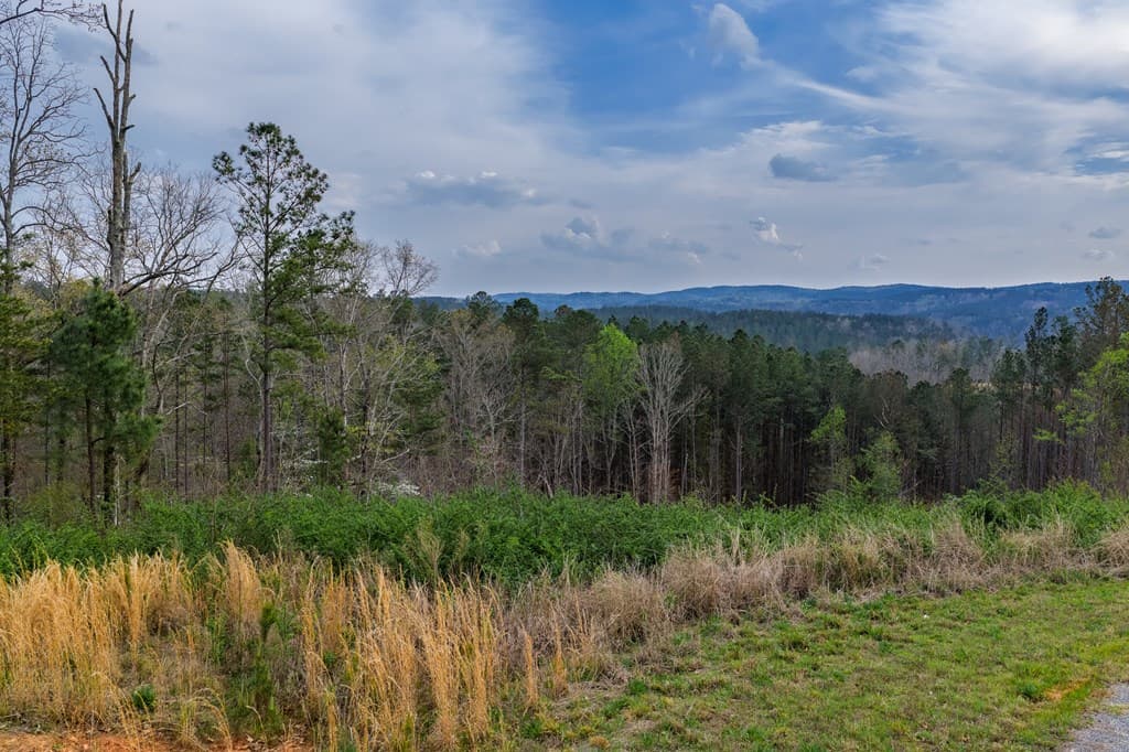 Lot 43 Bucktail Way, Talking Rock GA 30175 - Photo