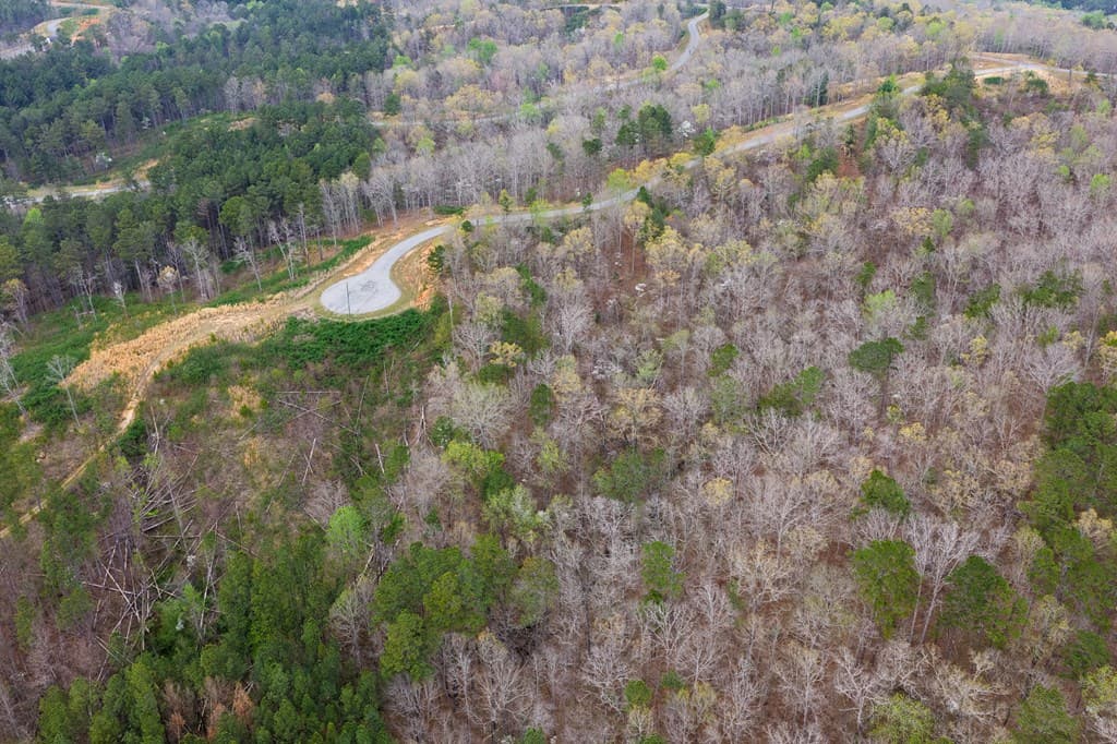 Lot 43 Bucktail Way, Talking Rock GA 30175 - Photo