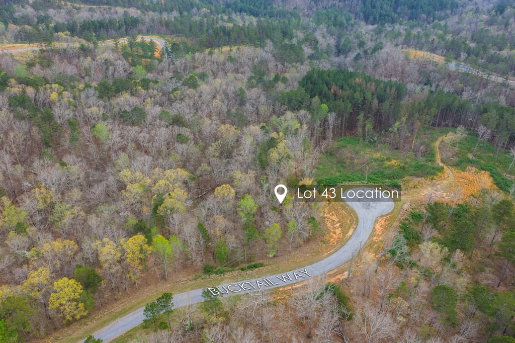 Lot 43 Bucktail Way, Talking Rock GA 30175 - Photo