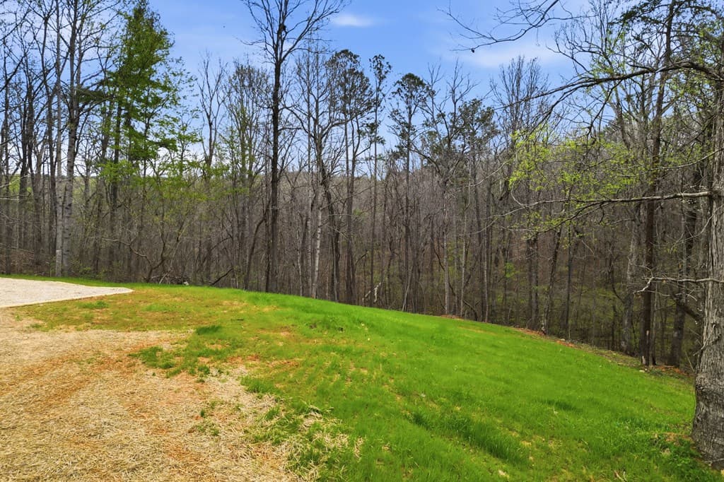 240 Cherokee Wood Hollow Drive, Ball Ground GA 30107 - Photo
