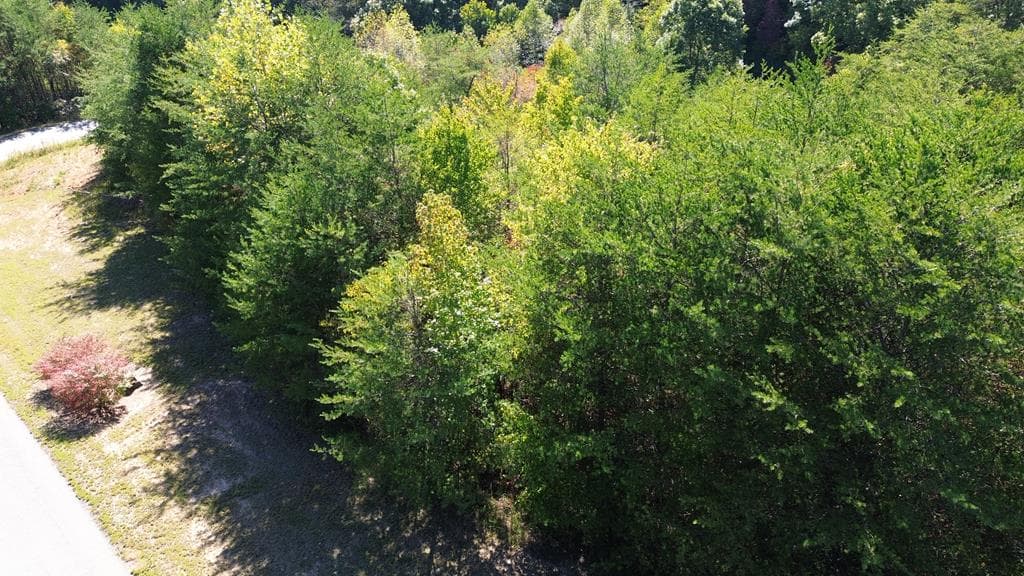 283 Golden Eagle Circle, Turtletown TN 37391 - Photo
