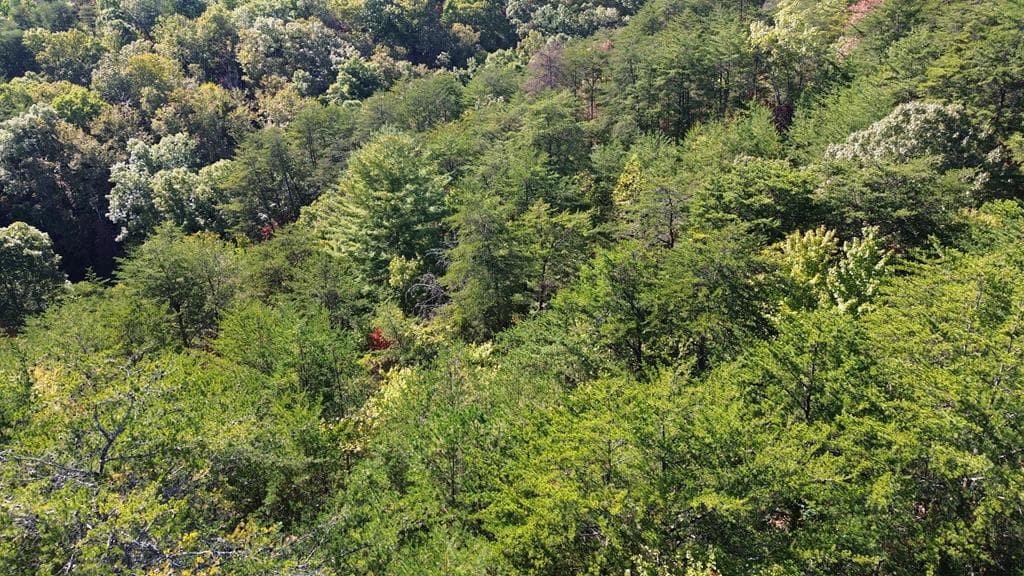 283 Golden Eagle Circle, Turtletown TN 37391 - Photo