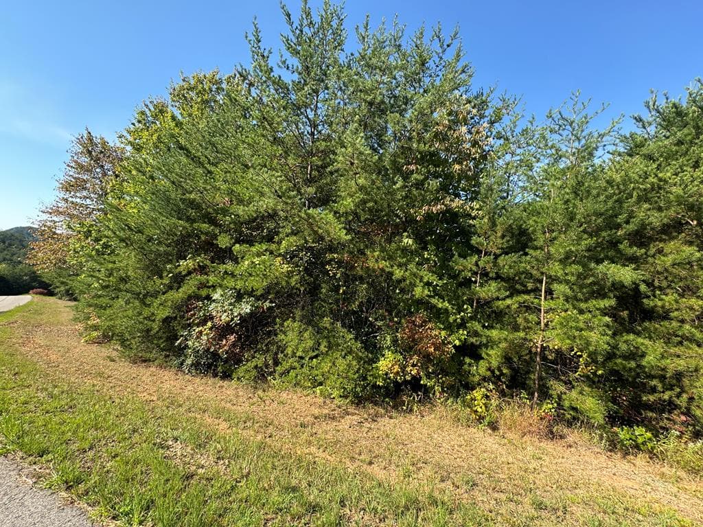 283 Golden Eagle Circle, Turtletown TN 37391 - Photo