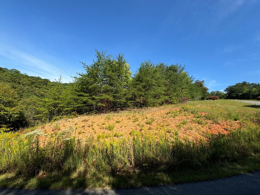 283 Golden Eagle Circle, Turtletown TN 37391 - Photo