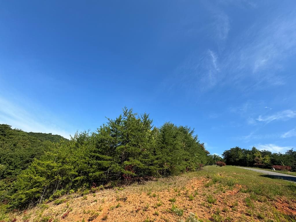 114 Blackhawk Lane, Turtletown TN 37391 - Photo