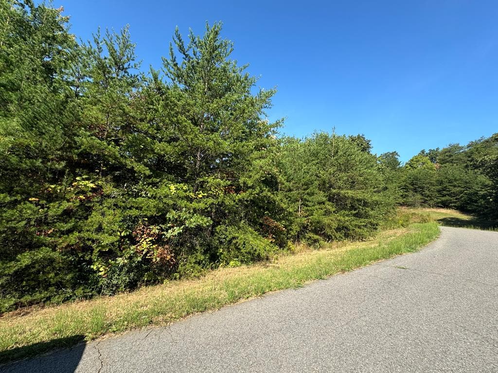 114 Blackhawk Lane, Turtletown TN 37391 - Photo