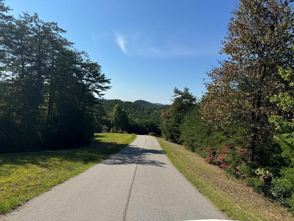 114 Blackhawk Lane, Turtletown TN 37391 - Photo