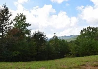 114 Blackhawk Lane, Turtletown TN 37391 - Primary photo