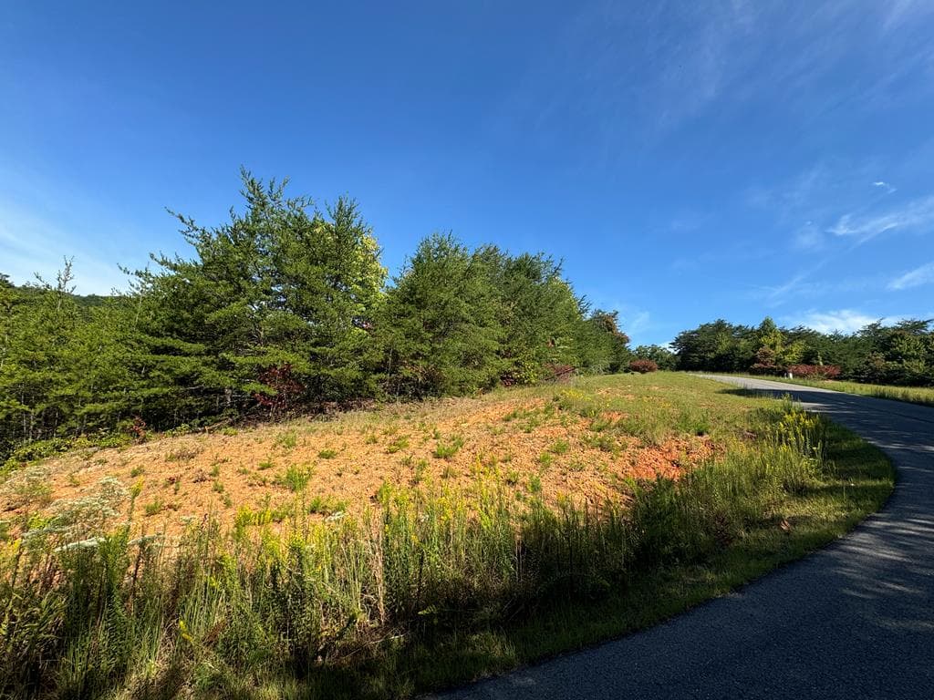 114 Blackhawk Lane, Turtletown TN 37391 - Photo
