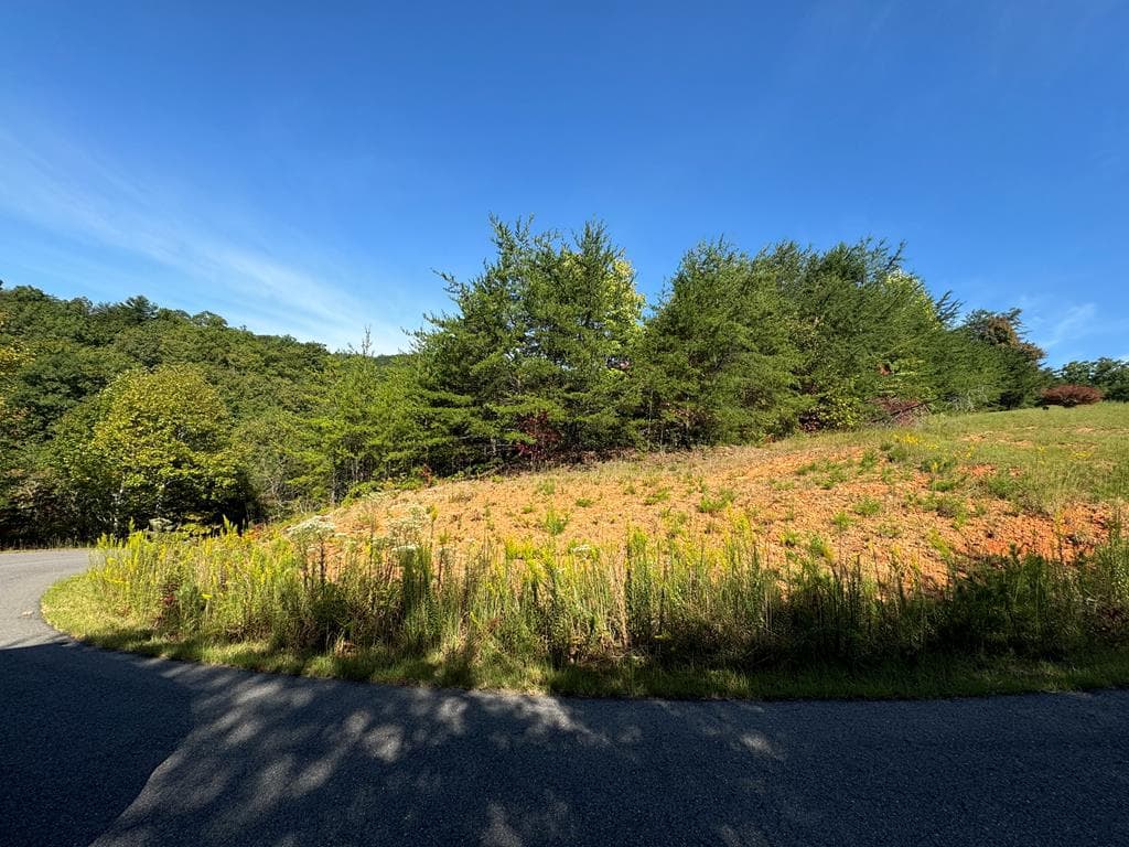 114 Blackhawk Lane, Turtletown TN 37391 - Photo