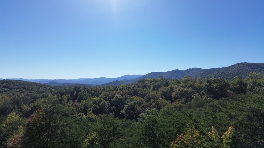 115 Blackhawk Lane, Turtletown TN 37391 - Photo