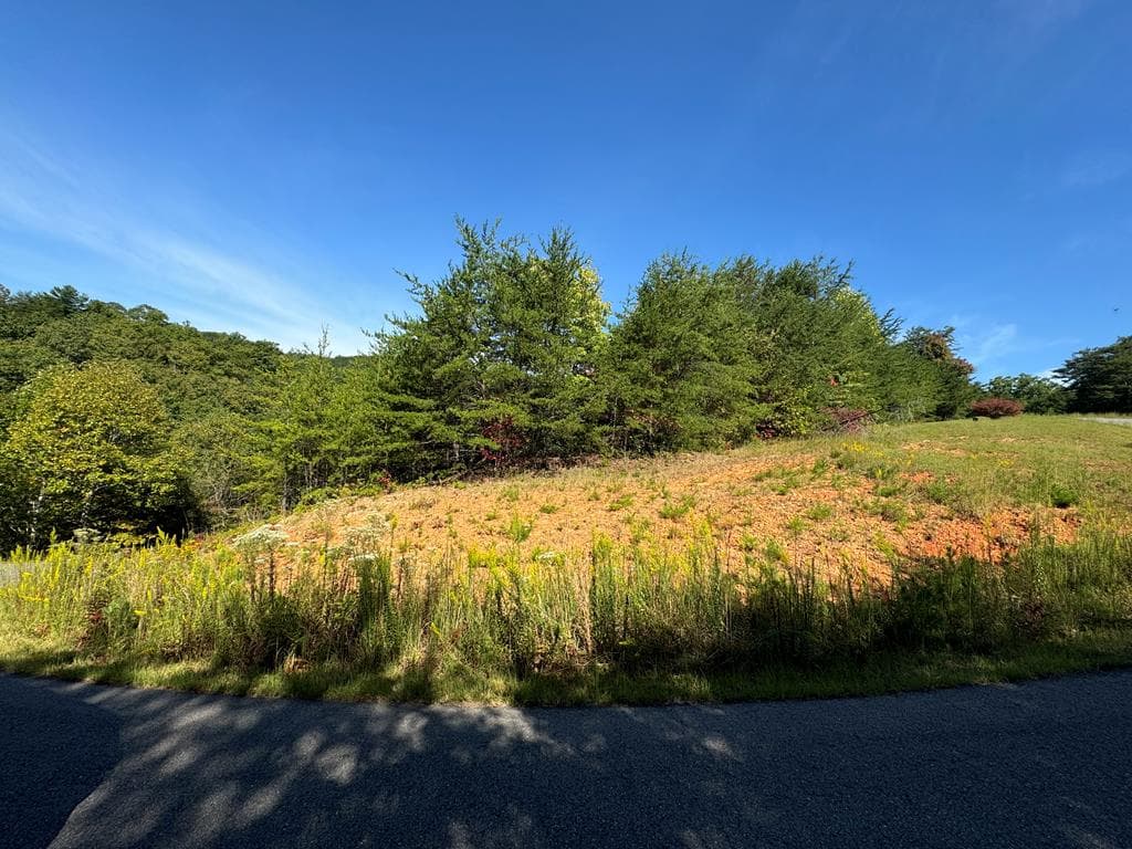 115 Blackhawk Lane, Turtletown TN 37391 - Photo