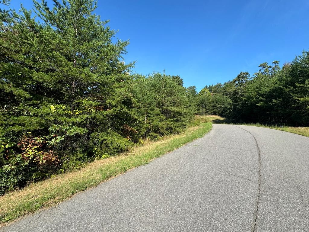 115 Blackhawk Lane, Turtletown TN 37391 - Photo