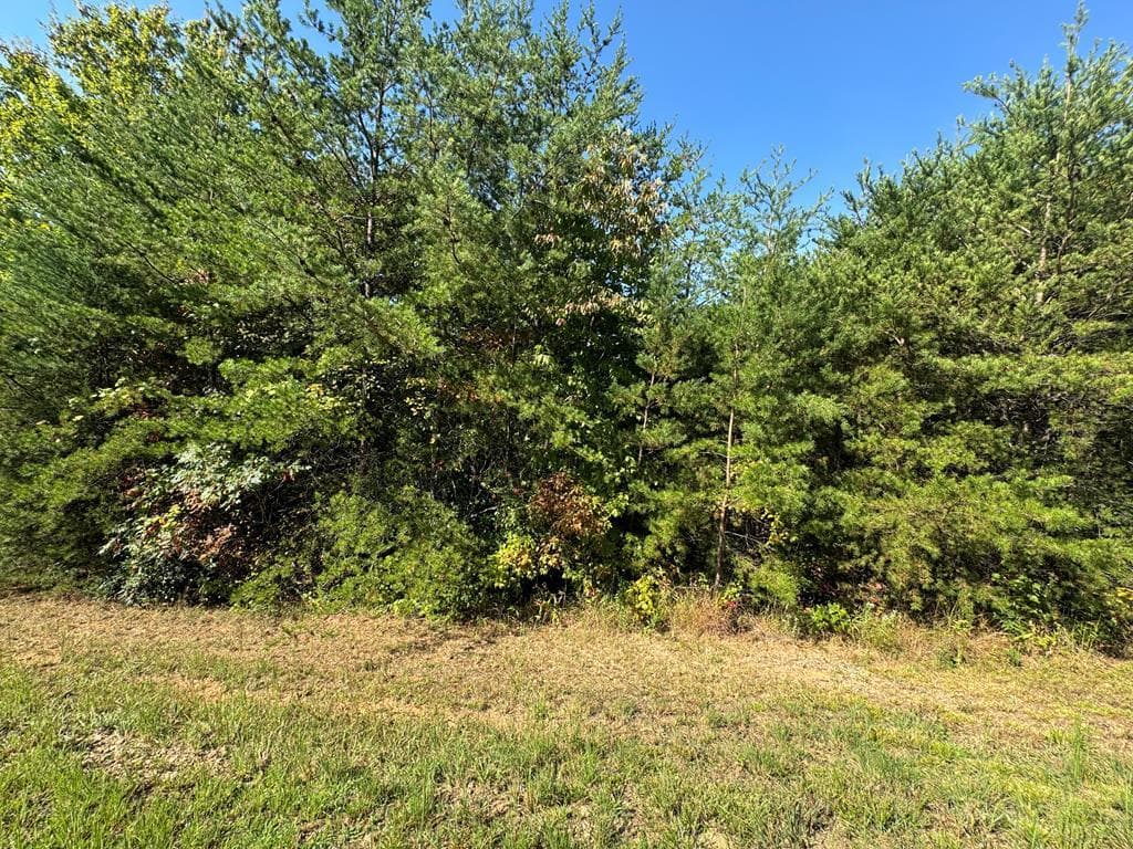 115 Blackhawk Lane, Turtletown TN 37391 - Primary photo