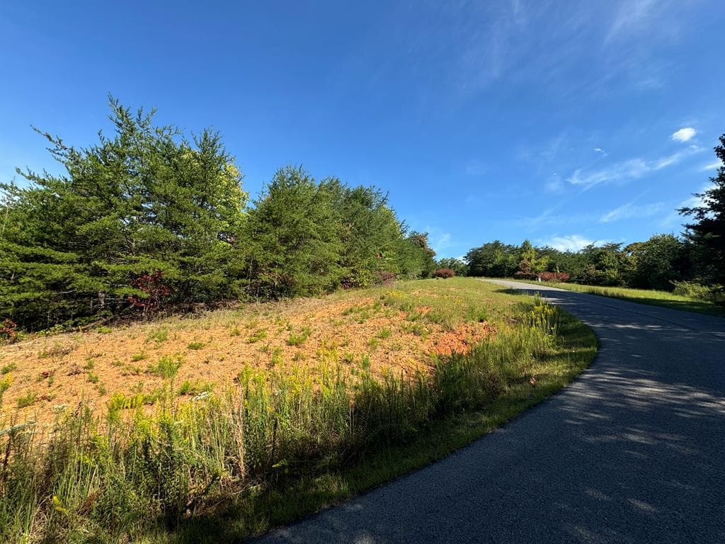 115 Blackhawk Lane, Turtletown TN 37391 - Photo