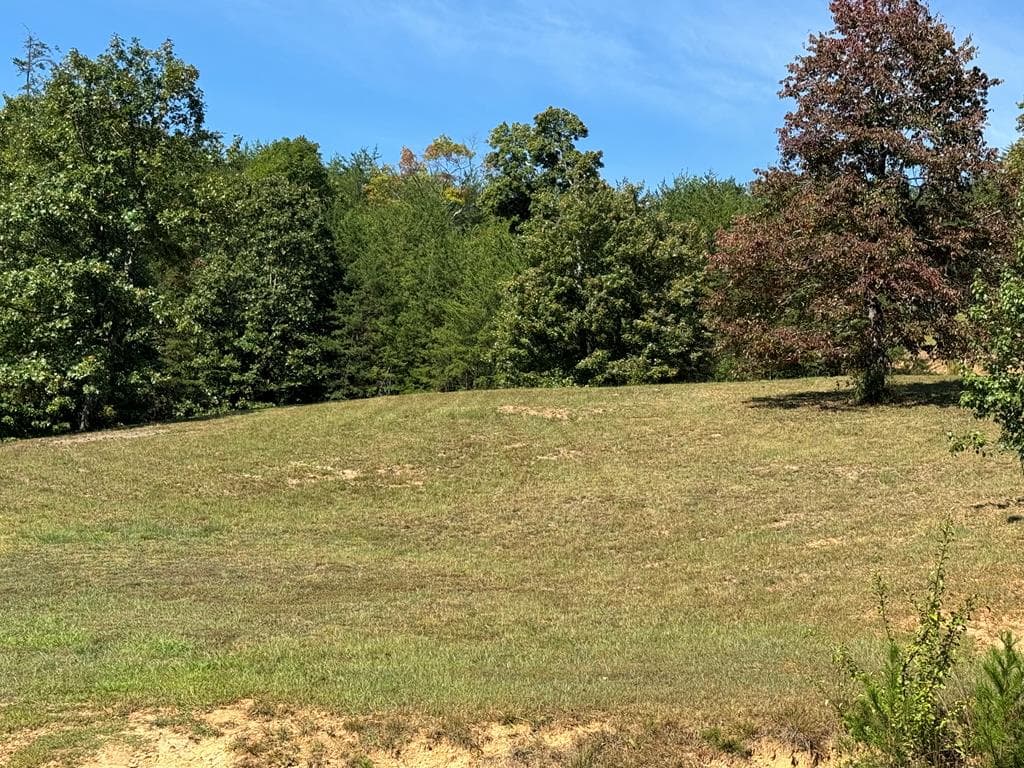 130 Golden Eagle Circle, Turtletown TN 37391 - Photo
