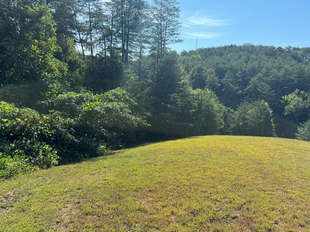 130 Golden Eagle Circle, Turtletown TN 37391 - Photo