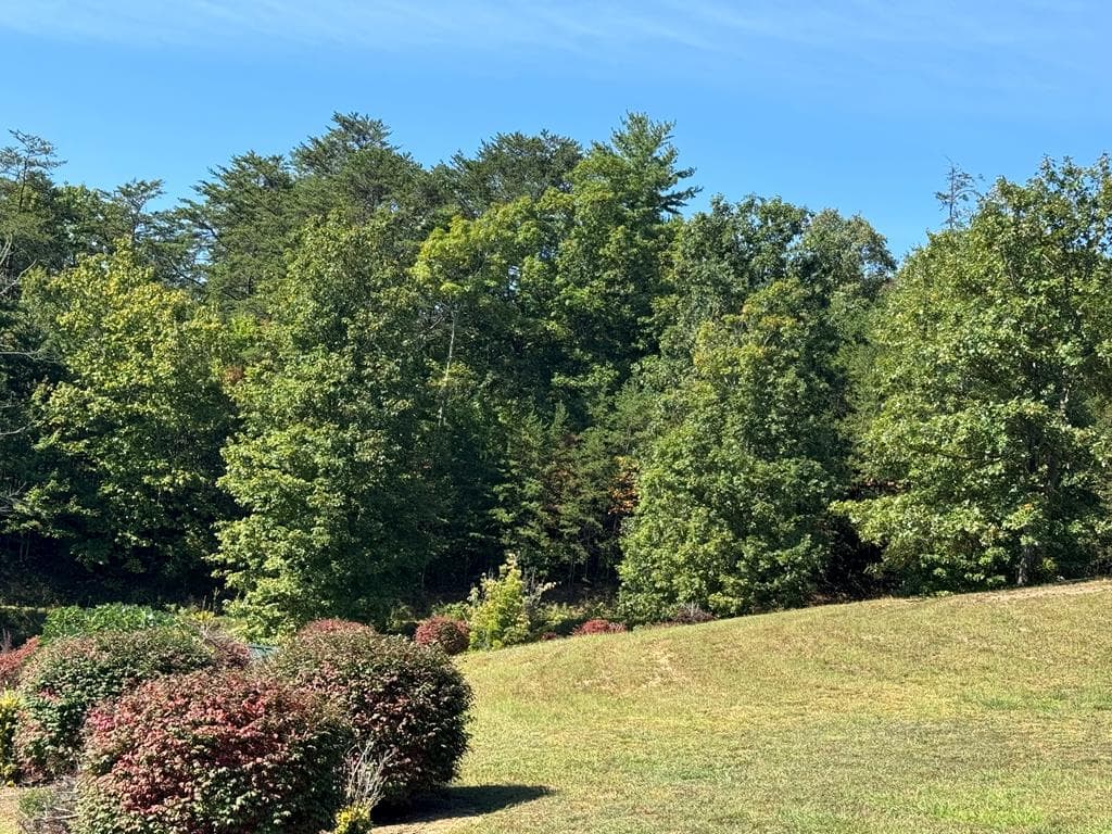 130 Golden Eagle Circle, Turtletown TN 37391 - Photo