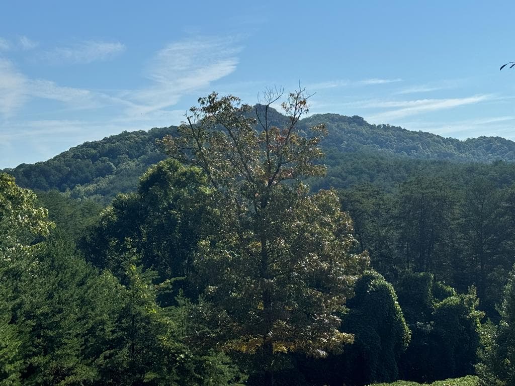 130 Golden Eagle Circle, Turtletown TN 37391 - Primary photo
