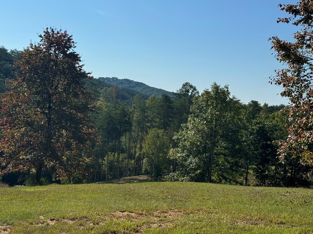 130 Golden Eagle Circle, Turtletown TN 37391 - Photo