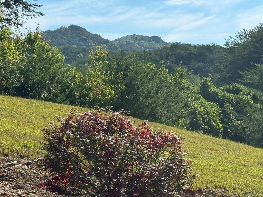 130 Golden Eagle Circle, Turtletown TN 37391 - Photo