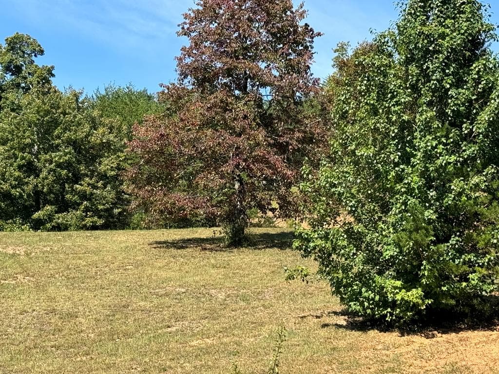 130 Golden Eagle Circle, Turtletown TN 37391 - Photo