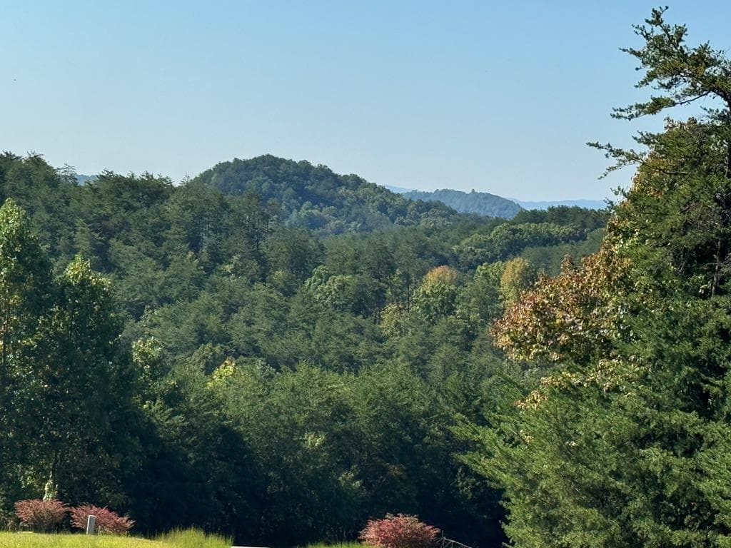 130 Golden Eagle Circle, Turtletown TN 37391 - Photo