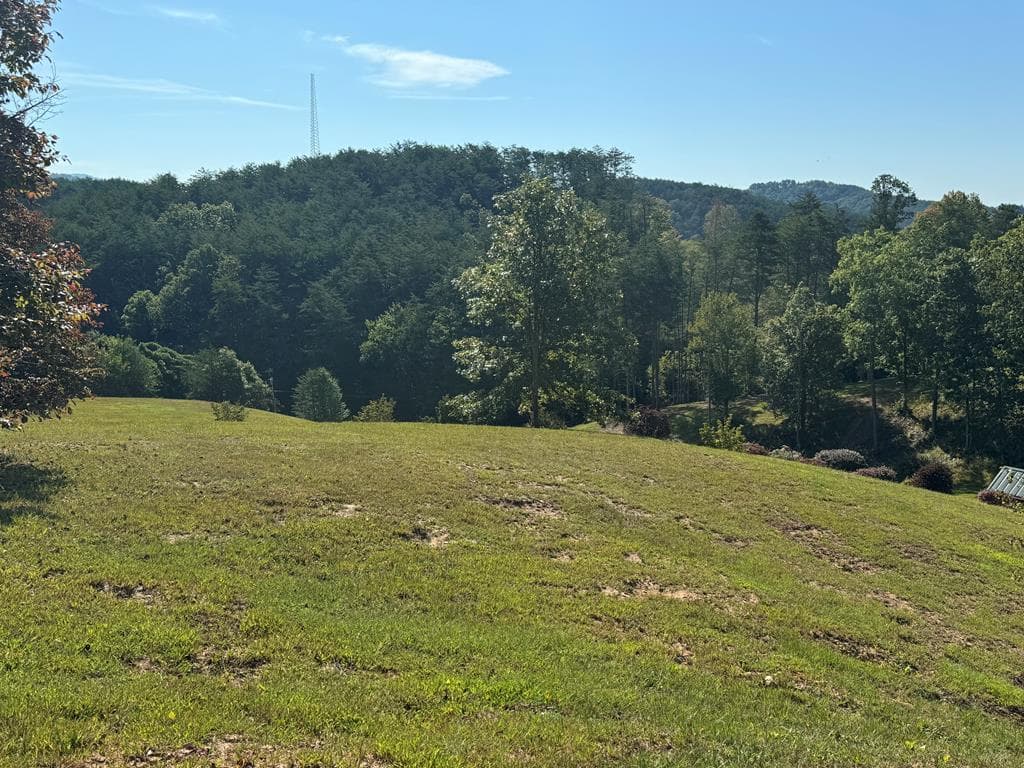 130 Golden Eagle Circle, Turtletown TN 37391 - Photo