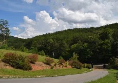 313 Golden Eagle Circle, Turtletown TN 37391 - Photo