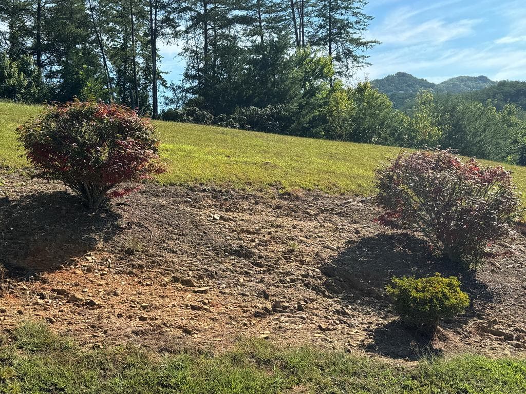 313 Golden Eagle Circle, Turtletown TN 37391 - Photo