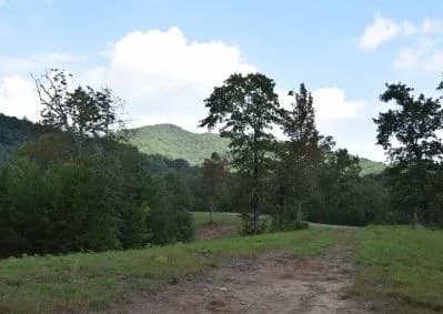 313 Golden Eagle Circle, Turtletown TN 37391 - Photo