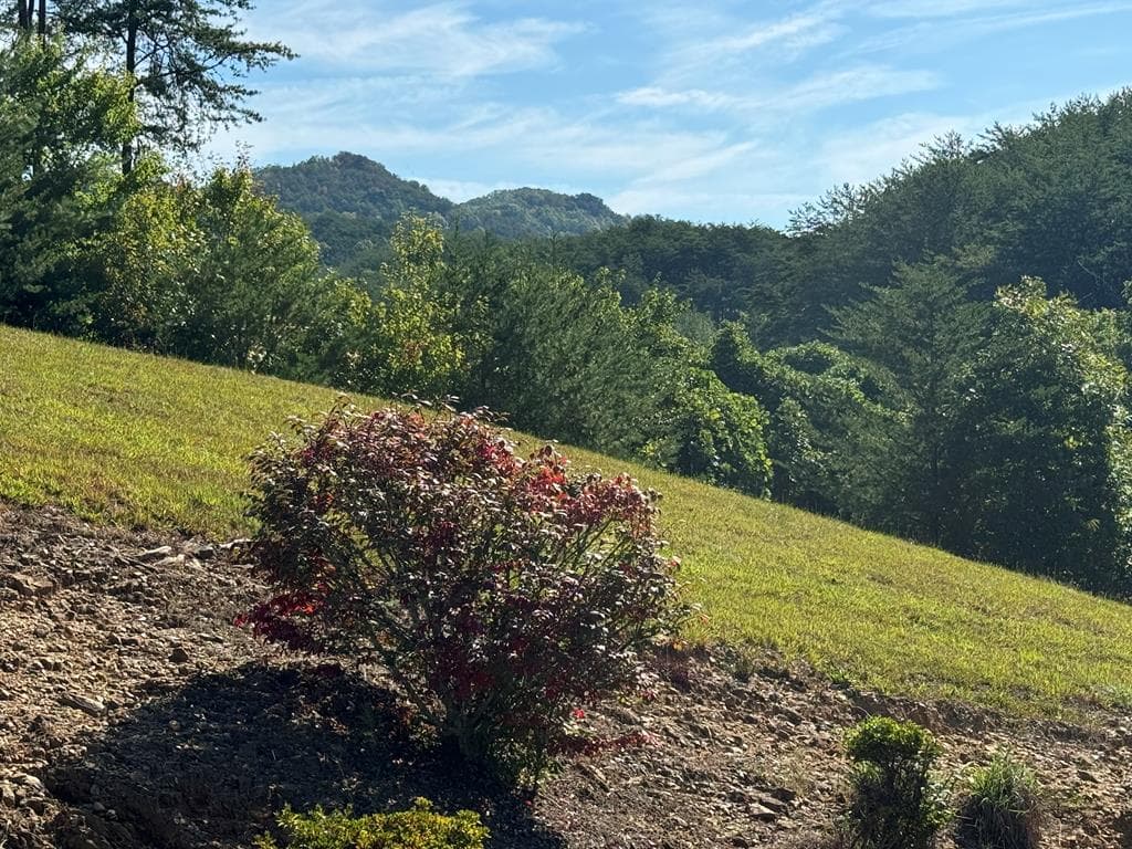 313 Golden Eagle Circle, Turtletown TN 37391 - Photo