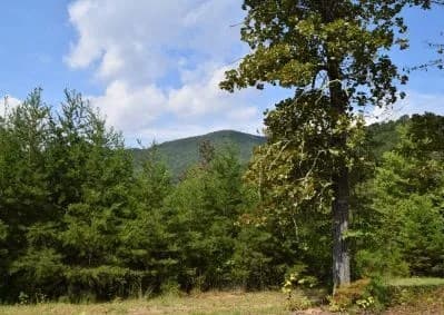 313 Golden Eagle Circle, Turtletown TN 37391 - Photo