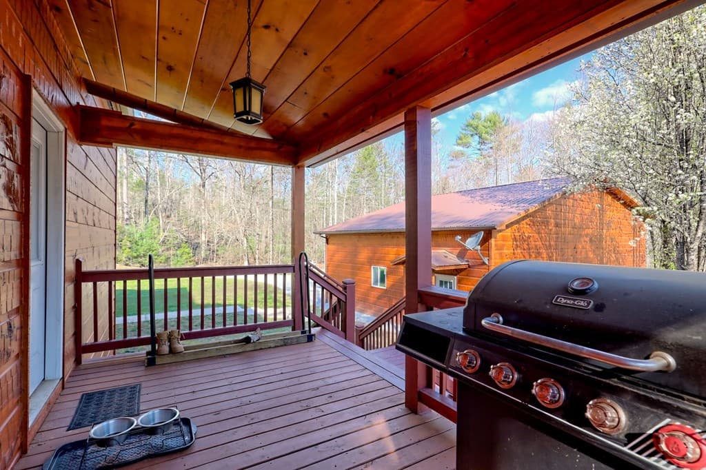 356 Mill Creek Acres, Blue Ridge GA 30513 - Photo