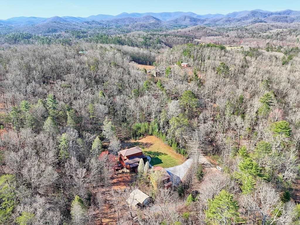 356 Mill Creek Acres, Blue Ridge GA 30513 - Photo