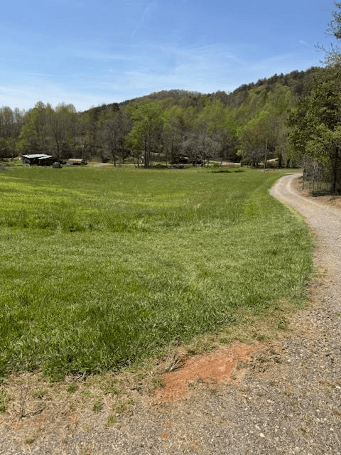 1281 NE Lawrence Smith Road, Hayesville NC 28904 - Photo