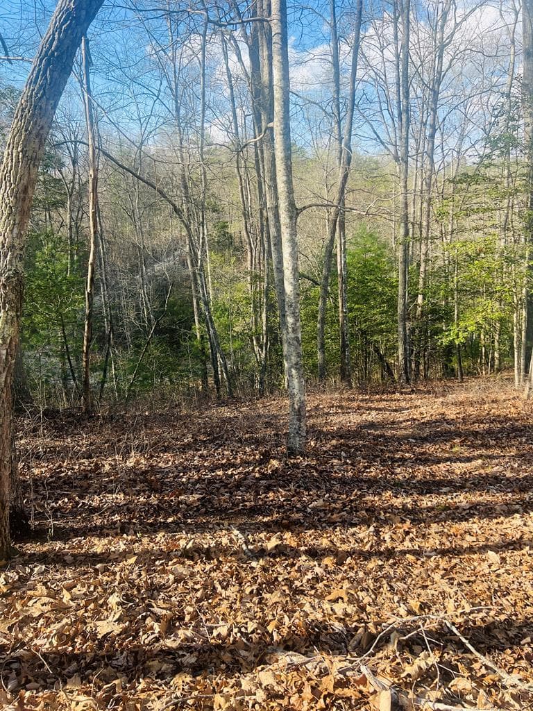 00 Ford Lane, Murphy NC 28906 - Photo