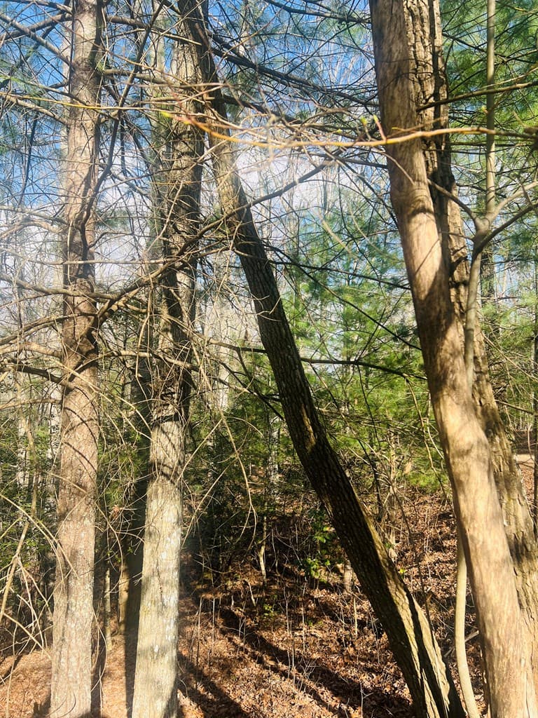 00 Ford Lane, Murphy NC 28906 - Photo