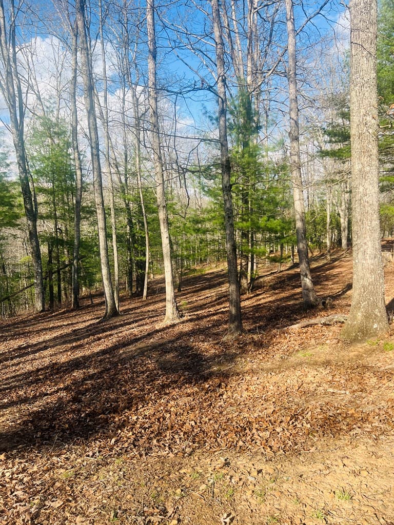 00 Ford Lane, Murphy NC 28906 - Photo