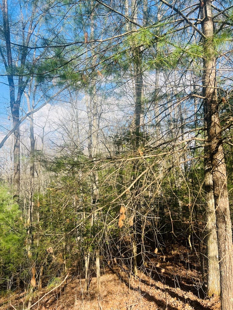 00 Ford Lane, Murphy NC 28906 - Photo
