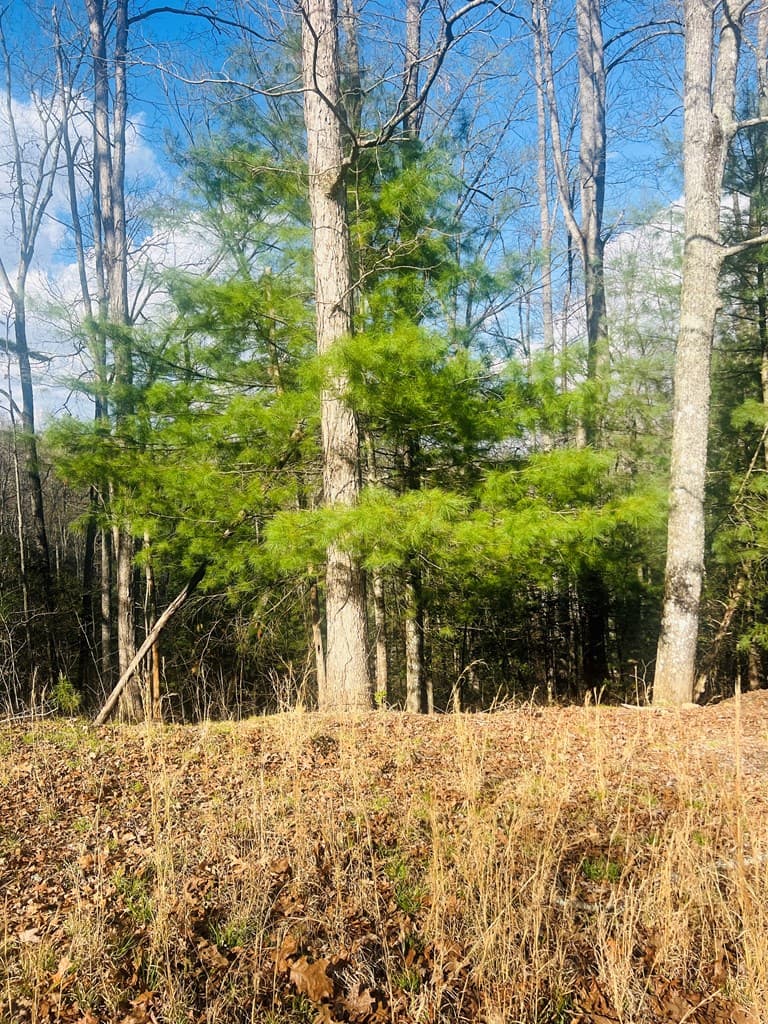 00 Ford Lane, Murphy NC 28906 - Photo