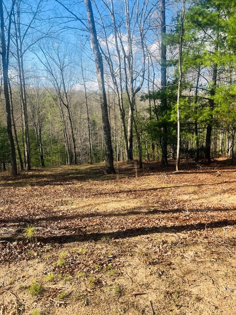 00 Ford Lane, Murphy NC 28906 - Primary photo