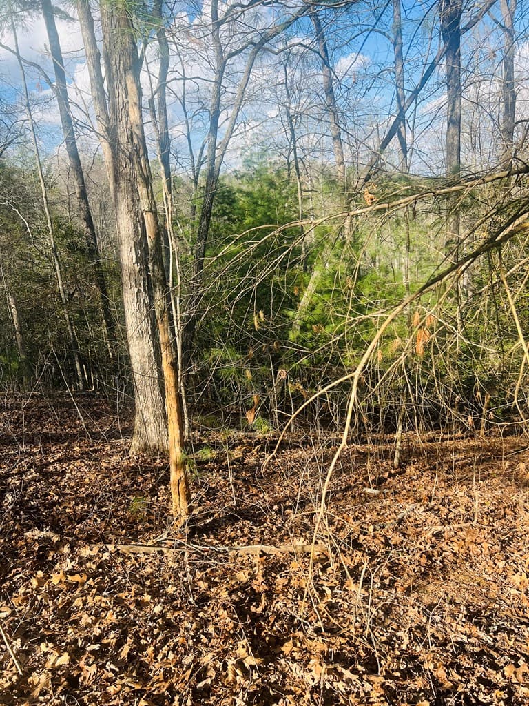 00 Ford Lane, Murphy NC 28906 - Photo