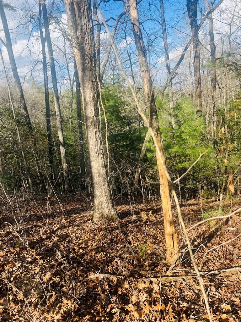 00 Ford Lane, Murphy NC 28906 - Photo