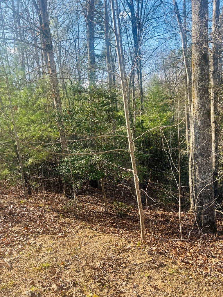 00 Ford Lane, Murphy NC 28906 - Photo