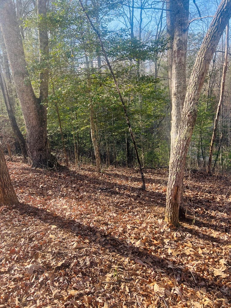 00 Ford Lane, Murphy NC 28906 - Photo