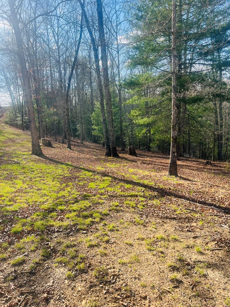 00 Ford Lane, Murphy NC 28906 - Photo