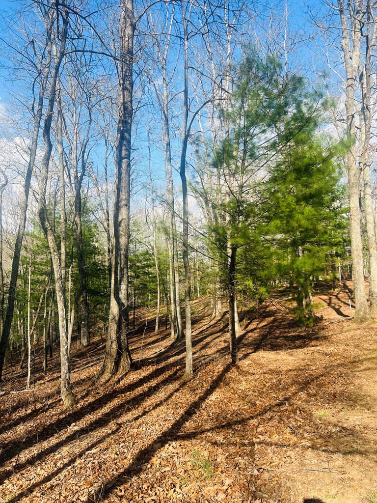 00 Ford Lane, Murphy NC 28906 - Photo