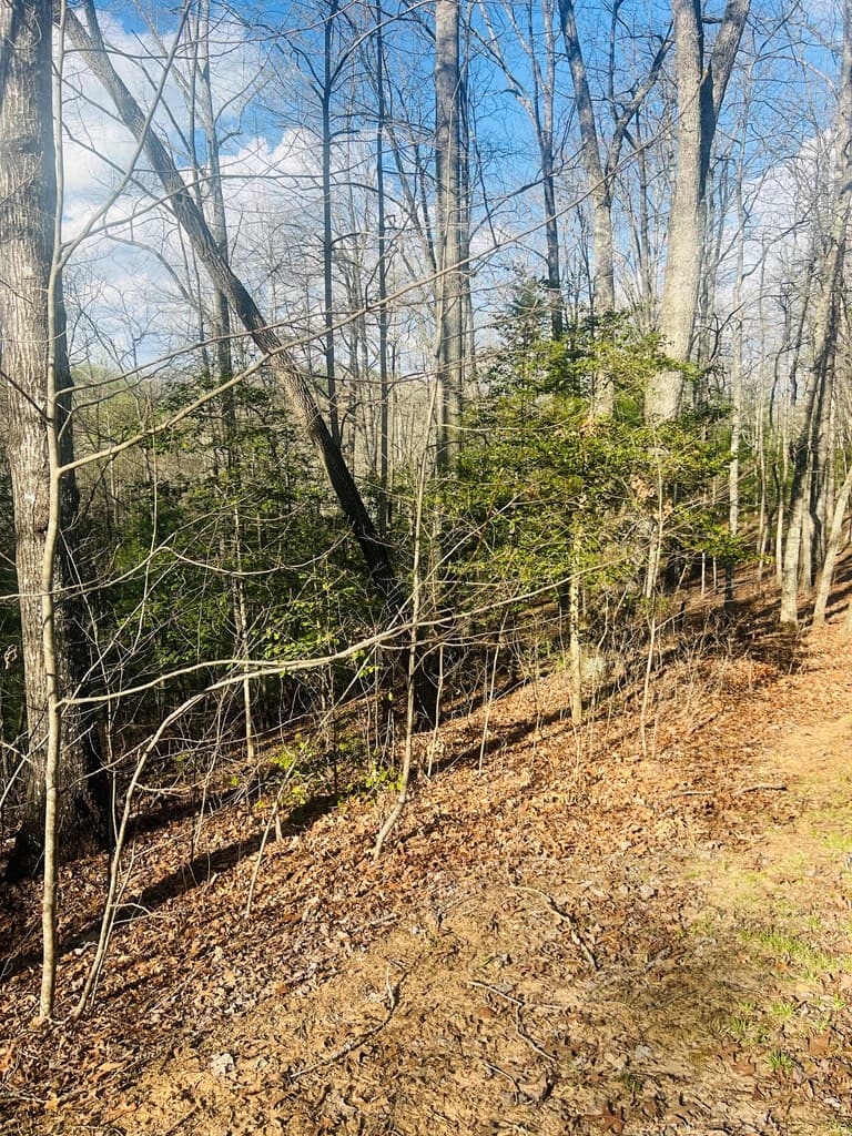 00 Ford Lane, Murphy NC 28906 - Photo